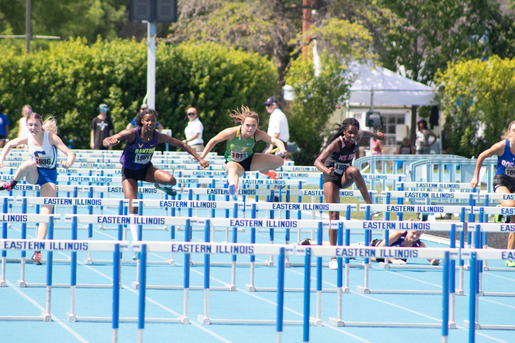 Hurdles.jpg